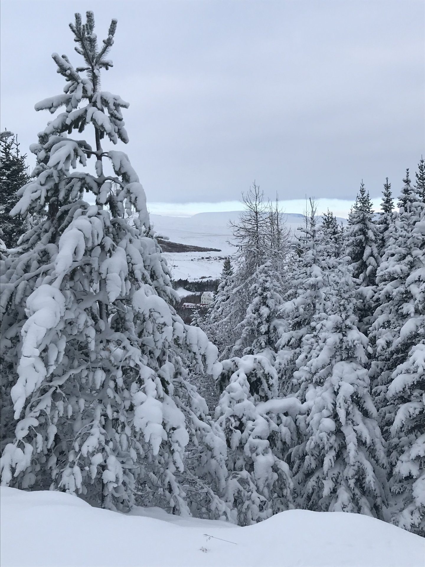 Skólahald fellt niður í grunnskólum Þingeyjarsveitar