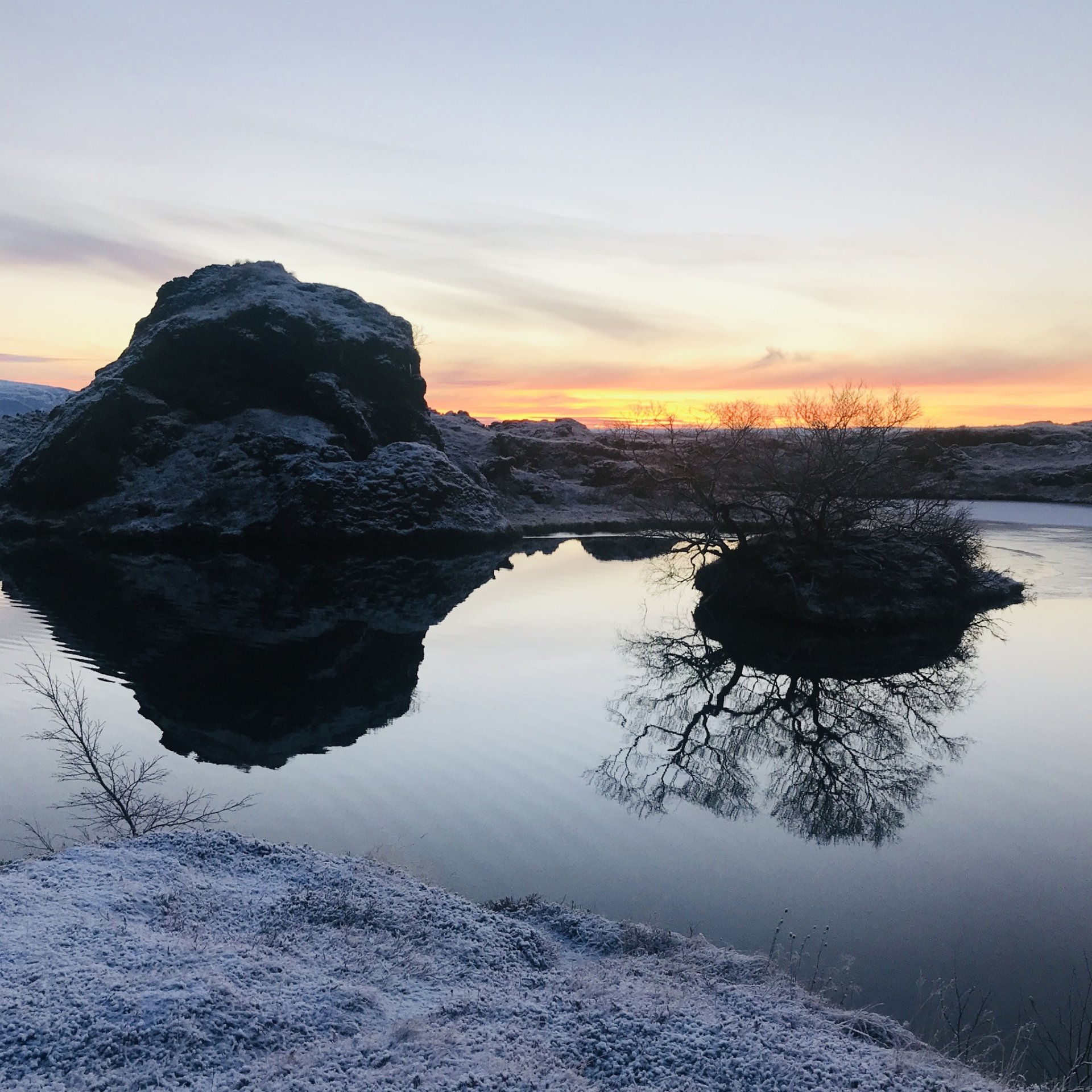 Bakvarðasveit Þingeyjarsveitar