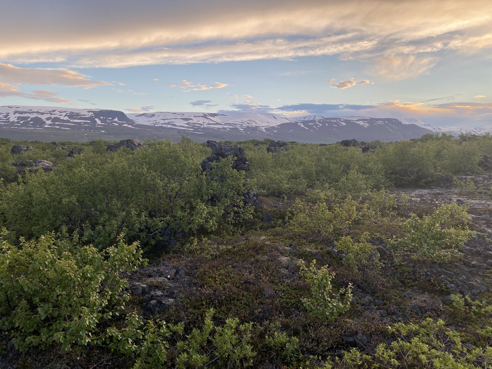 Fjárfestingartækifæri í Þingeyjarsveit