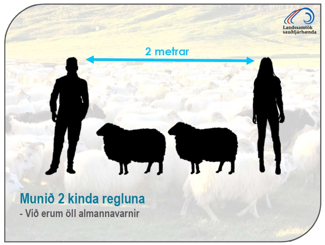 Leiðbeiningar vegna gangna og rétta vegna COVID-19