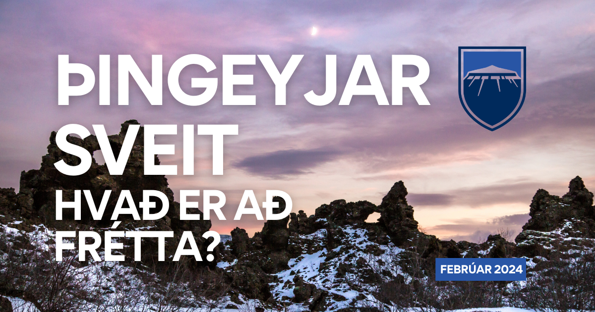 Fréttabréf Þingeyjarsveitar 1. árg. 2. tbl.