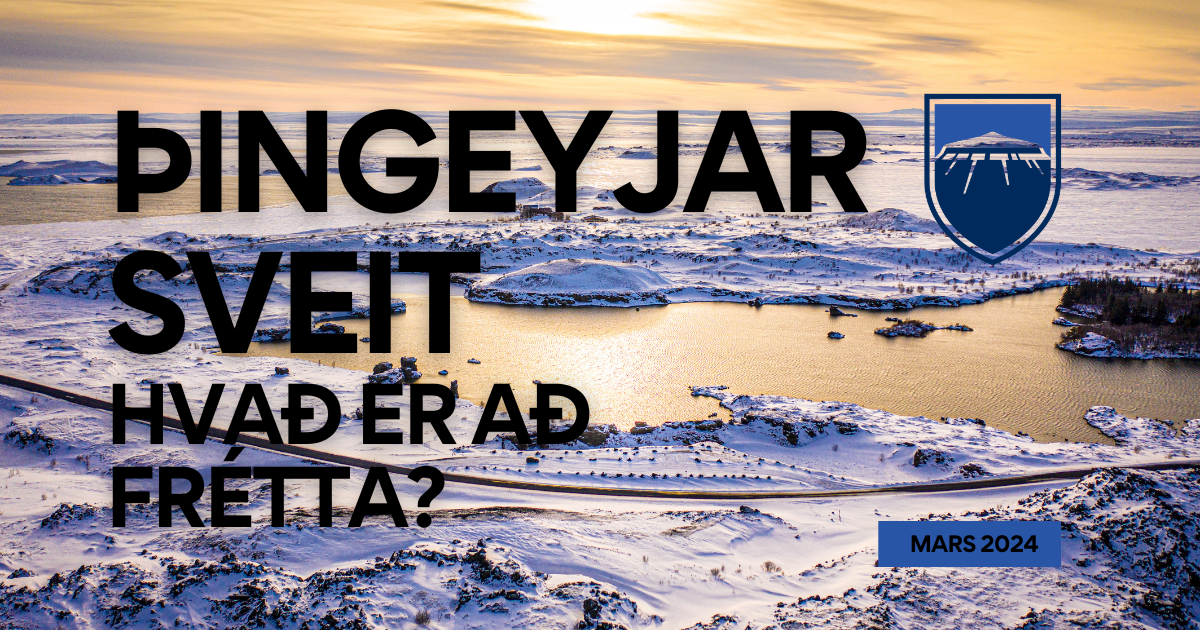 Fréttabréf Þingeyjarsveitar 1. árg. 3. tbl.