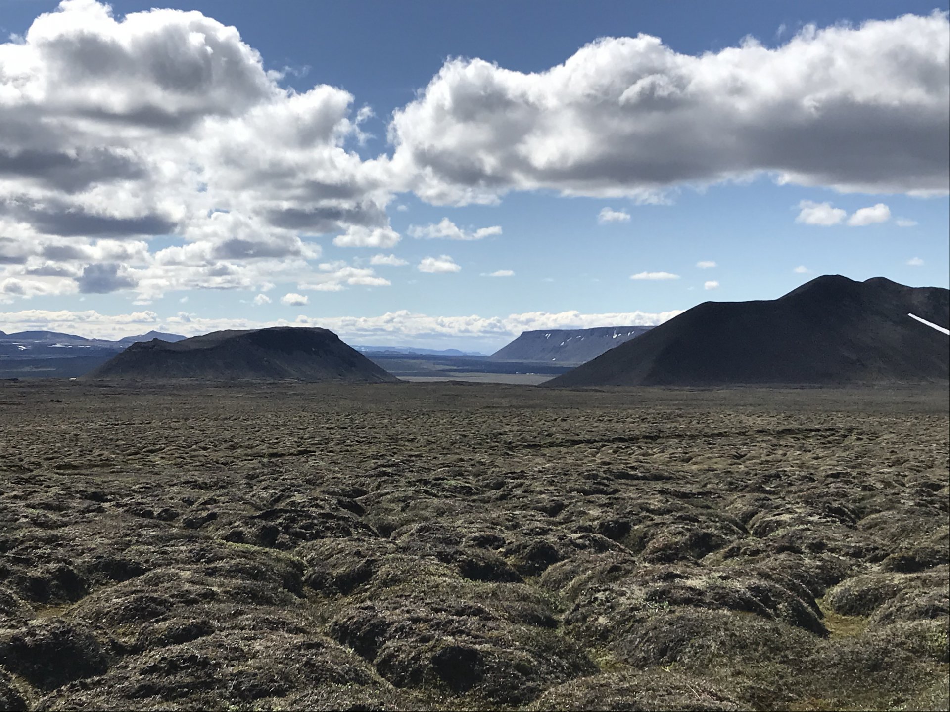 Rjúpnaveiðibann á Þeistareykjum í Þingeyjarsveit